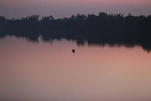 BIB: 
                            <button type="button" onclick="openModal(6443160)" class="btn btn-primary btn-sm float-right btn-popup" data-toggle="modal" data-target=".modal-high-quality">
                        <i class="fas fa-shopping-cart"></i> Add to Cart
                    </button>
                                            <button type="button" onclick="isThisMe(6443160, true)" class="btn btn-success btn-sm float-right btn-popup btn-isme hidden" data-toggle="tooltip" data-placement="bottom" title="นี่คือรูปของคุณใช่ไหม คลิกที่นี่เพื่อเอาเข้าอัลบั้ม">
                        <i class="fas fa-plus"></i> Add to album
                    </button>
                    <button type="button" onclick="isThisMe(6443160, false)" class="btn btn-warning btn-sm float-right btn-popup btn-isnotme hidden">
                        <i class="fas fa-ban"></i> Remove from album
                    </button>