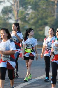 BIB: 523, 6302, 654, 781, 7506
                            <button type="button" onclick="openModal(6450895)" class="btn btn-primary btn-sm float-right btn-popup" data-toggle="modal" data-target=".modal-high-quality">
                        <i class="fas fa-shopping-cart"></i> Add to Cart
                    </button>
                                            <button type="button" onclick="isThisMe(6450895, true)" class="btn btn-success btn-sm float-right btn-popup btn-isme hidden" data-toggle="tooltip" data-placement="bottom" title="นี่คือรูปของคุณใช่ไหม คลิกที่นี่เพื่อเอาเข้าอัลบั้ม">
                        <i class="fas fa-plus"></i> Add to album
                    </button>
                    <button type="button" onclick="isThisMe(6450895, false)" class="btn btn-warning btn-sm float-right btn-popup btn-isnotme hidden">
                        <i class="fas fa-ban"></i> Remove from album
                    </button>