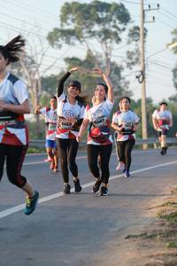 BIB: 6461, 6459, 7923
                            <button type="button" onclick="openModal(6449741)" class="btn btn-primary btn-sm float-right btn-popup" data-toggle="modal" data-target=".modal-high-quality">
                        <i class="fas fa-shopping-cart"></i> Add to Cart
                    </button>
                                            <button type="button" onclick="isThisMe(6449741, true)" class="btn btn-success btn-sm float-right btn-popup btn-isme hidden" data-toggle="tooltip" data-placement="bottom" title="นี่คือรูปของคุณใช่ไหม คลิกที่นี่เพื่อเอาเข้าอัลบั้ม">
                        <i class="fas fa-plus"></i> Add to album
                    </button>
                    <button type="button" onclick="isThisMe(6449741, false)" class="btn btn-warning btn-sm float-right btn-popup btn-isnotme hidden">
                        <i class="fas fa-ban"></i> Remove from album
                    </button>