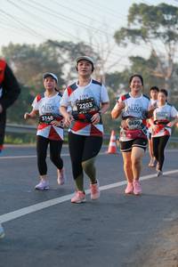 BIB: 2203, 3148, 7260, 6490, 
                            <button type="button" onclick="openModal(6449105)" class="btn btn-primary btn-sm float-right btn-popup" data-toggle="modal" data-target=".modal-high-quality">
                        <i class="fas fa-shopping-cart"></i> Add to Cart
                    </button>
                                            <button type="button" onclick="isThisMe(6449105, true)" class="btn btn-success btn-sm float-right btn-popup btn-isme hidden" data-toggle="tooltip" data-placement="bottom" title="นี่คือรูปของคุณใช่ไหม คลิกที่นี่เพื่อเอาเข้าอัลบั้ม">
                        <i class="fas fa-plus"></i> Add to album
                    </button>
                    <button type="button" onclick="isThisMe(6449105, false)" class="btn btn-warning btn-sm float-right btn-popup btn-isnotme hidden">
                        <i class="fas fa-ban"></i> Remove from album
                    </button>