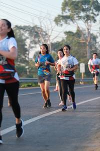 BIB: 215, 7925
                            <button type="button" onclick="openModal(6449764)" class="btn btn-primary btn-sm float-right btn-popup" data-toggle="modal" data-target=".modal-high-quality">
                        <i class="fas fa-shopping-cart"></i> Add to Cart
                    </button>
                                            <button type="button" onclick="isThisMe(6449764, true)" class="btn btn-success btn-sm float-right btn-popup btn-isme hidden" data-toggle="tooltip" data-placement="bottom" title="นี่คือรูปของคุณใช่ไหม คลิกที่นี่เพื่อเอาเข้าอัลบั้ม">
                        <i class="fas fa-plus"></i> Add to album
                    </button>
                    <button type="button" onclick="isThisMe(6449764, false)" class="btn btn-warning btn-sm float-right btn-popup btn-isnotme hidden">
                        <i class="fas fa-ban"></i> Remove from album
                    </button>