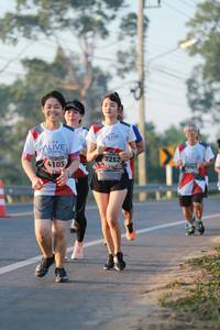 BIB: 7252, 4103
                            <button type="button" onclick="openModal(6449701)" class="btn btn-primary btn-sm float-right btn-popup" data-toggle="modal" data-target=".modal-high-quality">
                        <i class="fas fa-shopping-cart"></i> Add to Cart
                    </button>
                                            <button type="button" onclick="isThisMe(6449701, true)" class="btn btn-success btn-sm float-right btn-popup btn-isme hidden" data-toggle="tooltip" data-placement="bottom" title="นี่คือรูปของคุณใช่ไหม คลิกที่นี่เพื่อเอาเข้าอัลบั้ม">
                        <i class="fas fa-plus"></i> Add to album
                    </button>
                    <button type="button" onclick="isThisMe(6449701, false)" class="btn btn-warning btn-sm float-right btn-popup btn-isnotme hidden">
                        <i class="fas fa-ban"></i> Remove from album
                    </button>