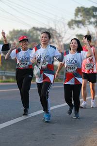 BIB: 7931, 7663, 7664
                            <button type="button" onclick="openModal(6449493)" class="btn btn-primary btn-sm float-right btn-popup" data-toggle="modal" data-target=".modal-high-quality">
                        <i class="fas fa-shopping-cart"></i> Add to Cart
                    </button>
                                            <button type="button" onclick="isThisMe(6449493, true)" class="btn btn-success btn-sm float-right btn-popup btn-isme hidden" data-toggle="tooltip" data-placement="bottom" title="นี่คือรูปของคุณใช่ไหม คลิกที่นี่เพื่อเอาเข้าอัลบั้ม">
                        <i class="fas fa-plus"></i> Add to album
                    </button>
                    <button type="button" onclick="isThisMe(6449493, false)" class="btn btn-warning btn-sm float-right btn-popup btn-isnotme hidden">
                        <i class="fas fa-ban"></i> Remove from album
                    </button>