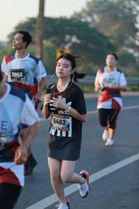 BIB: 2082, 6482
                            <button type="button" onclick="openModal(6449196)" class="btn btn-primary btn-sm float-right btn-popup" data-toggle="modal" data-target=".modal-high-quality">
                        <i class="fas fa-shopping-cart"></i> Add to Cart
                    </button>
                                            <button type="button" onclick="isThisMe(6449196, true)" class="btn btn-success btn-sm float-right btn-popup btn-isme hidden" data-toggle="tooltip" data-placement="bottom" title="นี่คือรูปของคุณใช่ไหม คลิกที่นี่เพื่อเอาเข้าอัลบั้ม">
                        <i class="fas fa-plus"></i> Add to album
                    </button>
                    <button type="button" onclick="isThisMe(6449196, false)" class="btn btn-warning btn-sm float-right btn-popup btn-isnotme hidden">
                        <i class="fas fa-ban"></i> Remove from album
                    </button>