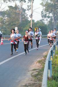 BIB: 7718
                            <button type="button" onclick="openModal(6448230)" class="btn btn-primary btn-sm float-right btn-popup" data-toggle="modal" data-target=".modal-high-quality">
                        <i class="fas fa-shopping-cart"></i> Add to Cart
                    </button>
                                            <button type="button" onclick="isThisMe(6448230, true)" class="btn btn-success btn-sm float-right btn-popup btn-isme hidden" data-toggle="tooltip" data-placement="bottom" title="นี่คือรูปของคุณใช่ไหม คลิกที่นี่เพื่อเอาเข้าอัลบั้ม">
                        <i class="fas fa-plus"></i> Add to album
                    </button>
                    <button type="button" onclick="isThisMe(6448230, false)" class="btn btn-warning btn-sm float-right btn-popup btn-isnotme hidden">
                        <i class="fas fa-ban"></i> Remove from album
                    </button>