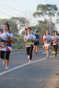 BIB: 7401, 7264, 7263
                            <button type="button" onclick="openModal(6449858)" class="btn btn-primary btn-sm float-right btn-popup" data-toggle="modal" data-target=".modal-high-quality">
                        <i class="fas fa-shopping-cart"></i> Add to Cart
                    </button>
                                            <button type="button" onclick="isThisMe(6449858, true)" class="btn btn-success btn-sm float-right btn-popup btn-isme hidden" data-toggle="tooltip" data-placement="bottom" title="นี่คือรูปของคุณใช่ไหม คลิกที่นี่เพื่อเอาเข้าอัลบั้ม">
                        <i class="fas fa-plus"></i> Add to album
                    </button>
                    <button type="button" onclick="isThisMe(6449858, false)" class="btn btn-warning btn-sm float-right btn-popup btn-isnotme hidden">
                        <i class="fas fa-ban"></i> Remove from album
                    </button>