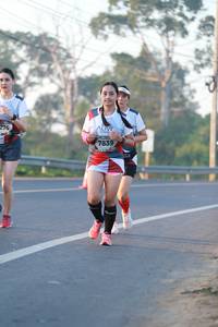 BIB: 276, 7839
                            <button type="button" onclick="openModal(6448734)" class="btn btn-primary btn-sm float-right btn-popup" data-toggle="modal" data-target=".modal-high-quality">
                        <i class="fas fa-shopping-cart"></i> Add to Cart
                    </button>
                                            <button type="button" onclick="isThisMe(6448734, true)" class="btn btn-success btn-sm float-right btn-popup btn-isme hidden" data-toggle="tooltip" data-placement="bottom" title="นี่คือรูปของคุณใช่ไหม คลิกที่นี่เพื่อเอาเข้าอัลบั้ม">
                        <i class="fas fa-plus"></i> Add to album
                    </button>
                    <button type="button" onclick="isThisMe(6448734, false)" class="btn btn-warning btn-sm float-right btn-popup btn-isnotme hidden">
                        <i class="fas fa-ban"></i> Remove from album
                    </button>