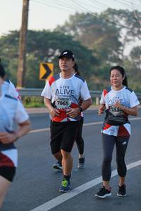 BIB: 133, 7065
                            <button type="button" onclick="openModal(6449224)" class="btn btn-primary btn-sm float-right btn-popup" data-toggle="modal" data-target=".modal-high-quality">
                        <i class="fas fa-shopping-cart"></i> Add to Cart
                    </button>
                                            <button type="button" onclick="isThisMe(6449224, true)" class="btn btn-success btn-sm float-right btn-popup btn-isme hidden" data-toggle="tooltip" data-placement="bottom" title="นี่คือรูปของคุณใช่ไหม คลิกที่นี่เพื่อเอาเข้าอัลบั้ม">
                        <i class="fas fa-plus"></i> Add to album
                    </button>
                    <button type="button" onclick="isThisMe(6449224, false)" class="btn btn-warning btn-sm float-right btn-popup btn-isnotme hidden">
                        <i class="fas fa-ban"></i> Remove from album
                    </button>