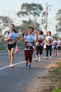 BIB: 175, 673, 6741
                            <button type="button" onclick="openModal(6449517)" class="btn btn-primary btn-sm float-right btn-popup" data-toggle="modal" data-target=".modal-high-quality">
                        <i class="fas fa-shopping-cart"></i> Add to Cart
                    </button>
                                            <button type="button" onclick="isThisMe(6449517, true)" class="btn btn-success btn-sm float-right btn-popup btn-isme hidden" data-toggle="tooltip" data-placement="bottom" title="นี่คือรูปของคุณใช่ไหม คลิกที่นี่เพื่อเอาเข้าอัลบั้ม">
                        <i class="fas fa-plus"></i> Add to album
                    </button>
                    <button type="button" onclick="isThisMe(6449517, false)" class="btn btn-warning btn-sm float-right btn-popup btn-isnotme hidden">
                        <i class="fas fa-ban"></i> Remove from album
                    </button>