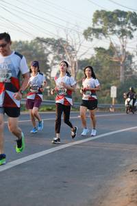 BIB: 659, 450, 6312
                            <button type="button" onclick="openModal(6449628)" class="btn btn-primary btn-sm float-right btn-popup" data-toggle="modal" data-target=".modal-high-quality">
                        <i class="fas fa-shopping-cart"></i> Add to Cart
                    </button>
                                            <button type="button" onclick="isThisMe(6449628, true)" class="btn btn-success btn-sm float-right btn-popup btn-isme hidden" data-toggle="tooltip" data-placement="bottom" title="นี่คือรูปของคุณใช่ไหม คลิกที่นี่เพื่อเอาเข้าอัลบั้ม">
                        <i class="fas fa-plus"></i> Add to album
                    </button>
                    <button type="button" onclick="isThisMe(6449628, false)" class="btn btn-warning btn-sm float-right btn-popup btn-isnotme hidden">
                        <i class="fas fa-ban"></i> Remove from album
                    </button>