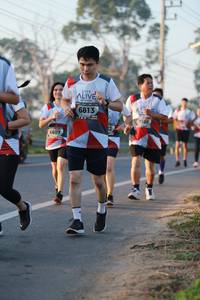 BIB: 6813, 7105, 6607
                            <button type="button" onclick="openModal(6449408)" class="btn btn-primary btn-sm float-right btn-popup" data-toggle="modal" data-target=".modal-high-quality">
                        <i class="fas fa-shopping-cart"></i> Add to Cart
                    </button>
                                            <button type="button" onclick="isThisMe(6449408, true)" class="btn btn-success btn-sm float-right btn-popup btn-isme hidden" data-toggle="tooltip" data-placement="bottom" title="นี่คือรูปของคุณใช่ไหม คลิกที่นี่เพื่อเอาเข้าอัลบั้ม">
                        <i class="fas fa-plus"></i> Add to album
                    </button>
                    <button type="button" onclick="isThisMe(6449408, false)" class="btn btn-warning btn-sm float-right btn-popup btn-isnotme hidden">
                        <i class="fas fa-ban"></i> Remove from album
                    </button>