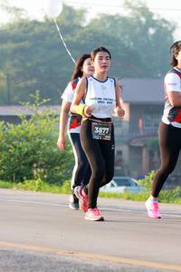 BIB: 3877
                            <button type="button" onclick="openModal(6489388)" class="btn btn-primary btn-sm float-right btn-popup" data-toggle="modal" data-target=".modal-high-quality">
                        <i class="fas fa-shopping-cart"></i> Add to Cart
                    </button>
                                            <button type="button" onclick="isThisMe(6489388, true)" class="btn btn-success btn-sm float-right btn-popup btn-isme hidden" data-toggle="tooltip" data-placement="bottom" title="นี่คือรูปของคุณใช่ไหม คลิกที่นี่เพื่อเอาเข้าอัลบั้ม">
                        <i class="fas fa-plus"></i> Add to album
                    </button>
                    <button type="button" onclick="isThisMe(6489388, false)" class="btn btn-warning btn-sm float-right btn-popup btn-isnotme hidden">
                        <i class="fas fa-ban"></i> Remove from album
                    </button>