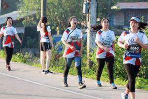 BIB: 6546, 6523, 2640
                            <button type="button" onclick="openModal(6498318)" class="btn btn-primary btn-sm float-right btn-popup" data-toggle="modal" data-target=".modal-high-quality">
                        <i class="fas fa-shopping-cart"></i> Add to Cart
                    </button>
                                            <button type="button" onclick="isThisMe(6498318, true)" class="btn btn-success btn-sm float-right btn-popup btn-isme hidden" data-toggle="tooltip" data-placement="bottom" title="นี่คือรูปของคุณใช่ไหม คลิกที่นี่เพื่อเอาเข้าอัลบั้ม">
                        <i class="fas fa-plus"></i> Add to album
                    </button>
                    <button type="button" onclick="isThisMe(6498318, false)" class="btn btn-warning btn-sm float-right btn-popup btn-isnotme hidden">
                        <i class="fas fa-ban"></i> Remove from album
                    </button>