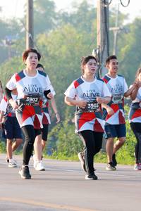 BIB: 3902, 6968, 3903
                            <button type="button" onclick="openModal(6496591)" class="btn btn-primary btn-sm float-right btn-popup" data-toggle="modal" data-target=".modal-high-quality">
                        <i class="fas fa-shopping-cart"></i> Add to Cart
                    </button>
                                            <button type="button" onclick="isThisMe(6496591, true)" class="btn btn-success btn-sm float-right btn-popup btn-isme hidden" data-toggle="tooltip" data-placement="bottom" title="นี่คือรูปของคุณใช่ไหม คลิกที่นี่เพื่อเอาเข้าอัลบั้ม">
                        <i class="fas fa-plus"></i> Add to album
                    </button>
                    <button type="button" onclick="isThisMe(6496591, false)" class="btn btn-warning btn-sm float-right btn-popup btn-isnotme hidden">
                        <i class="fas fa-ban"></i> Remove from album
                    </button>