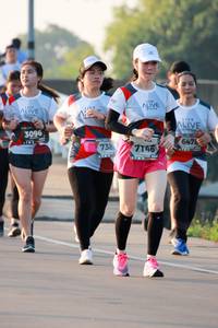 BIB: 3096, 6476, 738, 7146
                            <button type="button" onclick="openModal(6488805)" class="btn btn-primary btn-sm float-right btn-popup" data-toggle="modal" data-target=".modal-high-quality">
                        <i class="fas fa-shopping-cart"></i> Add to Cart
                    </button>
                                            <button type="button" onclick="isThisMe(6488805, true)" class="btn btn-success btn-sm float-right btn-popup btn-isme hidden" data-toggle="tooltip" data-placement="bottom" title="นี่คือรูปของคุณใช่ไหม คลิกที่นี่เพื่อเอาเข้าอัลบั้ม">
                        <i class="fas fa-plus"></i> Add to album
                    </button>
                    <button type="button" onclick="isThisMe(6488805, false)" class="btn btn-warning btn-sm float-right btn-popup btn-isnotme hidden">
                        <i class="fas fa-ban"></i> Remove from album
                    </button>