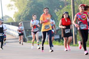 BIB: 6702, 7174, 7879, 6694
                            <button type="button" onclick="openModal(6488750)" class="btn btn-primary btn-sm float-right btn-popup" data-toggle="modal" data-target=".modal-high-quality">
                        <i class="fas fa-shopping-cart"></i> Add to Cart
                    </button>
                                            <button type="button" onclick="isThisMe(6488750, true)" class="btn btn-success btn-sm float-right btn-popup btn-isme hidden" data-toggle="tooltip" data-placement="bottom" title="นี่คือรูปของคุณใช่ไหม คลิกที่นี่เพื่อเอาเข้าอัลบั้ม">
                        <i class="fas fa-plus"></i> Add to album
                    </button>
                    <button type="button" onclick="isThisMe(6488750, false)" class="btn btn-warning btn-sm float-right btn-popup btn-isnotme hidden">
                        <i class="fas fa-ban"></i> Remove from album
                    </button>