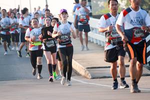 BIB: 2112, 624, 667, 2174, 7604
                            <button type="button" onclick="openModal(6488922)" class="btn btn-primary btn-sm float-right btn-popup" data-toggle="modal" data-target=".modal-high-quality">
                        <i class="fas fa-shopping-cart"></i> Add to Cart
                    </button>
                                            <button type="button" onclick="isThisMe(6488922, true)" class="btn btn-success btn-sm float-right btn-popup btn-isme hidden" data-toggle="tooltip" data-placement="bottom" title="นี่คือรูปของคุณใช่ไหม คลิกที่นี่เพื่อเอาเข้าอัลบั้ม">
                        <i class="fas fa-plus"></i> Add to album
                    </button>
                    <button type="button" onclick="isThisMe(6488922, false)" class="btn btn-warning btn-sm float-right btn-popup btn-isnotme hidden">
                        <i class="fas fa-ban"></i> Remove from album
                    </button>