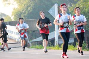 BIB: 673, 3120, 3064, 5509
                            <button type="button" onclick="openModal(6488409)" class="btn btn-primary btn-sm float-right btn-popup" data-toggle="modal" data-target=".modal-high-quality">
                        <i class="fas fa-shopping-cart"></i> Add to Cart
                    </button>
                                            <button type="button" onclick="isThisMe(6488409, true)" class="btn btn-success btn-sm float-right btn-popup btn-isme hidden" data-toggle="tooltip" data-placement="bottom" title="นี่คือรูปของคุณใช่ไหม คลิกที่นี่เพื่อเอาเข้าอัลบั้ม">
                        <i class="fas fa-plus"></i> Add to album
                    </button>
                    <button type="button" onclick="isThisMe(6488409, false)" class="btn btn-warning btn-sm float-right btn-popup btn-isnotme hidden">
                        <i class="fas fa-ban"></i> Remove from album
                    </button>