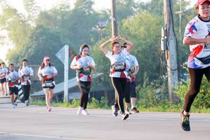 BIB: 6703
                            <button type="button" onclick="openModal(6488392)" class="btn btn-primary btn-sm float-right btn-popup" data-toggle="modal" data-target=".modal-high-quality">
                        <i class="fas fa-shopping-cart"></i> Add to Cart
                    </button>
                                            <button type="button" onclick="isThisMe(6488392, true)" class="btn btn-success btn-sm float-right btn-popup btn-isme hidden" data-toggle="tooltip" data-placement="bottom" title="นี่คือรูปของคุณใช่ไหม คลิกที่นี่เพื่อเอาเข้าอัลบั้ม">
                        <i class="fas fa-plus"></i> Add to album
                    </button>
                    <button type="button" onclick="isThisMe(6488392, false)" class="btn btn-warning btn-sm float-right btn-popup btn-isnotme hidden">
                        <i class="fas fa-ban"></i> Remove from album
                    </button>