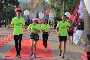 BIB: 
                            <button type="button" onclick="openModal(6435226)" class="btn btn-primary btn-sm float-right btn-popup" data-toggle="modal" data-target=".modal-high-quality">
                        <i class="fas fa-shopping-cart"></i> Add to Cart
                    </button>
                                            <button type="button" onclick="isThisMe(6435226, true)" class="btn btn-success btn-sm float-right btn-popup btn-isme hidden" data-toggle="tooltip" data-placement="bottom" title="นี่คือรูปของคุณใช่ไหม คลิกที่นี่เพื่อเอาเข้าอัลบั้ม">
                        <i class="fas fa-plus"></i> Add to album
                    </button>
                    <button type="button" onclick="isThisMe(6435226, false)" class="btn btn-warning btn-sm float-right btn-popup btn-isnotme hidden">
                        <i class="fas fa-ban"></i> Remove from album
                    </button>