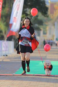 BIB: 6106
                            <button type="button" onclick="openModal(6434830)" class="btn btn-primary btn-sm float-right btn-popup" data-toggle="modal" data-target=".modal-high-quality">
                        <i class="fas fa-shopping-cart"></i> Add to Cart
                    </button>
                                            <button type="button" onclick="isThisMe(6434830, true)" class="btn btn-success btn-sm float-right btn-popup btn-isme hidden" data-toggle="tooltip" data-placement="bottom" title="นี่คือรูปของคุณใช่ไหม คลิกที่นี่เพื่อเอาเข้าอัลบั้ม">
                        <i class="fas fa-plus"></i> Add to album
                    </button>
                    <button type="button" onclick="isThisMe(6434830, false)" class="btn btn-warning btn-sm float-right btn-popup btn-isnotme hidden">
                        <i class="fas fa-ban"></i> Remove from album
                    </button>