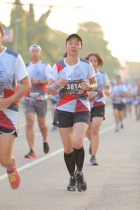 BIB: 3814
                            <button type="button" onclick="openModal(6411679)" class="btn btn-primary btn-sm float-right btn-popup" data-toggle="modal" data-target=".modal-high-quality">
                        <i class="fas fa-shopping-cart"></i> Add to Cart
                    </button>
                                            <button type="button" onclick="isThisMe(6411679, true)" class="btn btn-success btn-sm float-right btn-popup btn-isme hidden" data-toggle="tooltip" data-placement="bottom" title="นี่คือรูปของคุณใช่ไหม คลิกที่นี่เพื่อเอาเข้าอัลบั้ม">
                        <i class="fas fa-plus"></i> Add to album
                    </button>
                    <button type="button" onclick="isThisMe(6411679, false)" class="btn btn-warning btn-sm float-right btn-popup btn-isnotme hidden">
                        <i class="fas fa-ban"></i> Remove from album
                    </button>