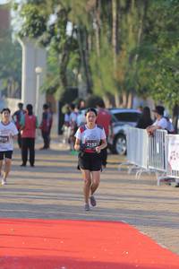 BIB: 3116, 2152
                            <button type="button" onclick="openModal(6427716)" class="btn btn-primary btn-sm float-right btn-popup" data-toggle="modal" data-target=".modal-high-quality">
                        <i class="fas fa-shopping-cart"></i> Add to Cart
                    </button>
                                            <button type="button" onclick="isThisMe(6427716, true)" class="btn btn-success btn-sm float-right btn-popup btn-isme hidden" data-toggle="tooltip" data-placement="bottom" title="นี่คือรูปของคุณใช่ไหม คลิกที่นี่เพื่อเอาเข้าอัลบั้ม">
                        <i class="fas fa-plus"></i> Add to album
                    </button>
                    <button type="button" onclick="isThisMe(6427716, false)" class="btn btn-warning btn-sm float-right btn-popup btn-isnotme hidden">
                        <i class="fas fa-ban"></i> Remove from album
                    </button>