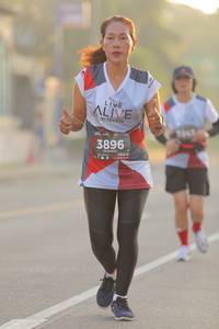 BIB: 3896, 128
                            <button type="button" onclick="openModal(6424072)" class="btn btn-primary btn-sm float-right btn-popup" data-toggle="modal" data-target=".modal-high-quality">
                        <i class="fas fa-shopping-cart"></i> Add to Cart
                    </button>
                                            <button type="button" onclick="isThisMe(6424072, true)" class="btn btn-success btn-sm float-right btn-popup btn-isme hidden" data-toggle="tooltip" data-placement="bottom" title="นี่คือรูปของคุณใช่ไหม คลิกที่นี่เพื่อเอาเข้าอัลบั้ม">
                        <i class="fas fa-plus"></i> Add to album
                    </button>
                    <button type="button" onclick="isThisMe(6424072, false)" class="btn btn-warning btn-sm float-right btn-popup btn-isnotme hidden">
                        <i class="fas fa-ban"></i> Remove from album
                    </button>