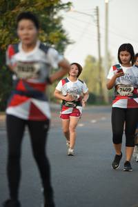 BIB: 7409
                            <button type="button" onclick="openModal(6382752)" class="btn btn-primary btn-sm float-right btn-popup" data-toggle="modal" data-target=".modal-high-quality">
                        <i class="fas fa-shopping-cart"></i> Add to Cart
                    </button>
                                            <button type="button" onclick="isThisMe(6382752, true)" class="btn btn-success btn-sm float-right btn-popup btn-isme hidden" data-toggle="tooltip" data-placement="bottom" title="นี่คือรูปของคุณใช่ไหม คลิกที่นี่เพื่อเอาเข้าอัลบั้ม">
                        <i class="fas fa-plus"></i> Add to album
                    </button>
                    <button type="button" onclick="isThisMe(6382752, false)" class="btn btn-warning btn-sm float-right btn-popup btn-isnotme hidden">
                        <i class="fas fa-ban"></i> Remove from album
                    </button>