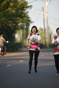 BIB: 7606
                            <button type="button" onclick="openModal(6387631)" class="btn btn-primary btn-sm float-right btn-popup" data-toggle="modal" data-target=".modal-high-quality">
                        <i class="fas fa-shopping-cart"></i> Add to Cart
                    </button>
                                            <button type="button" onclick="isThisMe(6387631, true)" class="btn btn-success btn-sm float-right btn-popup btn-isme hidden" data-toggle="tooltip" data-placement="bottom" title="นี่คือรูปของคุณใช่ไหม คลิกที่นี่เพื่อเอาเข้าอัลบั้ม">
                        <i class="fas fa-plus"></i> Add to album
                    </button>
                    <button type="button" onclick="isThisMe(6387631, false)" class="btn btn-warning btn-sm float-right btn-popup btn-isnotme hidden">
                        <i class="fas fa-ban"></i> Remove from album
                    </button>