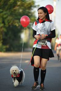 BIB: 6106
                            <button type="button" onclick="openModal(6387418)" class="btn btn-primary btn-sm float-right btn-popup" data-toggle="modal" data-target=".modal-high-quality">
                        <i class="fas fa-shopping-cart"></i> Add to Cart
                    </button>
                                            <button type="button" onclick="isThisMe(6387418, true)" class="btn btn-success btn-sm float-right btn-popup btn-isme hidden" data-toggle="tooltip" data-placement="bottom" title="นี่คือรูปของคุณใช่ไหม คลิกที่นี่เพื่อเอาเข้าอัลบั้ม">
                        <i class="fas fa-plus"></i> Add to album
                    </button>
                    <button type="button" onclick="isThisMe(6387418, false)" class="btn btn-warning btn-sm float-right btn-popup btn-isnotme hidden">
                        <i class="fas fa-ban"></i> Remove from album
                    </button>