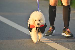 BIB: 
                            <button type="button" onclick="openModal(6418107)" class="btn btn-primary btn-sm float-right btn-popup" data-toggle="modal" data-target=".modal-high-quality">
                        <i class="fas fa-shopping-cart"></i> Add to Cart
                    </button>
                                            <button type="button" onclick="isThisMe(6418107, true)" class="btn btn-success btn-sm float-right btn-popup btn-isme hidden" data-toggle="tooltip" data-placement="bottom" title="นี่คือรูปของคุณใช่ไหม คลิกที่นี่เพื่อเอาเข้าอัลบั้ม">
                        <i class="fas fa-plus"></i> Add to album
                    </button>
                    <button type="button" onclick="isThisMe(6418107, false)" class="btn btn-warning btn-sm float-right btn-popup btn-isnotme hidden">
                        <i class="fas fa-ban"></i> Remove from album
                    </button>