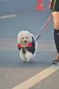 BIB: 
                            <button type="button" onclick="openModal(6417763)" class="btn btn-primary btn-sm float-right btn-popup" data-toggle="modal" data-target=".modal-high-quality">
                        <i class="fas fa-shopping-cart"></i> Add to Cart
                    </button>
                                            <button type="button" onclick="isThisMe(6417763, true)" class="btn btn-success btn-sm float-right btn-popup btn-isme hidden" data-toggle="tooltip" data-placement="bottom" title="นี่คือรูปของคุณใช่ไหม คลิกที่นี่เพื่อเอาเข้าอัลบั้ม">
                        <i class="fas fa-plus"></i> Add to album
                    </button>
                    <button type="button" onclick="isThisMe(6417763, false)" class="btn btn-warning btn-sm float-right btn-popup btn-isnotme hidden">
                        <i class="fas fa-ban"></i> Remove from album
                    </button>