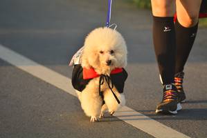 BIB: 
                            <button type="button" onclick="openModal(6418136)" class="btn btn-primary btn-sm float-right btn-popup" data-toggle="modal" data-target=".modal-high-quality">
                        <i class="fas fa-shopping-cart"></i> Add to Cart
                    </button>
                                            <button type="button" onclick="isThisMe(6418136, true)" class="btn btn-success btn-sm float-right btn-popup btn-isme hidden" data-toggle="tooltip" data-placement="bottom" title="นี่คือรูปของคุณใช่ไหม คลิกที่นี่เพื่อเอาเข้าอัลบั้ม">
                        <i class="fas fa-plus"></i> Add to album
                    </button>
                    <button type="button" onclick="isThisMe(6418136, false)" class="btn btn-warning btn-sm float-right btn-popup btn-isnotme hidden">
                        <i class="fas fa-ban"></i> Remove from album
                    </button>