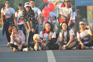 BIB: 3772, 7344, 2640, 798
                            <button type="button" onclick="openModal(6417883)" class="btn btn-primary btn-sm float-right btn-popup" data-toggle="modal" data-target=".modal-high-quality">
                        <i class="fas fa-shopping-cart"></i> Add to Cart
                    </button>
                                            <button type="button" onclick="isThisMe(6417883, true)" class="btn btn-success btn-sm float-right btn-popup btn-isme hidden" data-toggle="tooltip" data-placement="bottom" title="นี่คือรูปของคุณใช่ไหม คลิกที่นี่เพื่อเอาเข้าอัลบั้ม">
                        <i class="fas fa-plus"></i> Add to album
                    </button>
                    <button type="button" onclick="isThisMe(6417883, false)" class="btn btn-warning btn-sm float-right btn-popup btn-isnotme hidden">
                        <i class="fas fa-ban"></i> Remove from album
                    </button>