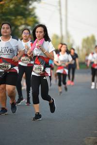 BIB: 7993, 7172
                            <button type="button" onclick="openModal(6383402)" class="btn btn-primary btn-sm float-right btn-popup" data-toggle="modal" data-target=".modal-high-quality">
                        <i class="fas fa-shopping-cart"></i> Add to Cart
                    </button>
                                            <button type="button" onclick="isThisMe(6383402, true)" class="btn btn-success btn-sm float-right btn-popup btn-isme hidden" data-toggle="tooltip" data-placement="bottom" title="นี่คือรูปของคุณใช่ไหม คลิกที่นี่เพื่อเอาเข้าอัลบั้ม">
                        <i class="fas fa-plus"></i> Add to album
                    </button>
                    <button type="button" onclick="isThisMe(6383402, false)" class="btn btn-warning btn-sm float-right btn-popup btn-isnotme hidden">
                        <i class="fas fa-ban"></i> Remove from album
                    </button>