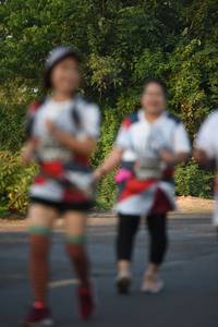 BIB: 
                            <button type="button" onclick="openModal(6387269)" class="btn btn-primary btn-sm float-right btn-popup" data-toggle="modal" data-target=".modal-high-quality">
                        <i class="fas fa-shopping-cart"></i> Add to Cart
                    </button>
                                            <button type="button" onclick="isThisMe(6387269, true)" class="btn btn-success btn-sm float-right btn-popup btn-isme hidden" data-toggle="tooltip" data-placement="bottom" title="นี่คือรูปของคุณใช่ไหม คลิกที่นี่เพื่อเอาเข้าอัลบั้ม">
                        <i class="fas fa-plus"></i> Add to album
                    </button>
                    <button type="button" onclick="isThisMe(6387269, false)" class="btn btn-warning btn-sm float-right btn-popup btn-isnotme hidden">
                        <i class="fas fa-ban"></i> Remove from album
                    </button>