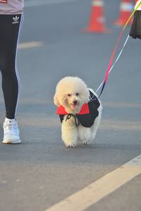 BIB: 
                            <button type="button" onclick="openModal(6404049)" class="btn btn-primary btn-sm float-right btn-popup" data-toggle="modal" data-target=".modal-high-quality">
                        <i class="fas fa-shopping-cart"></i> Add to Cart
                    </button>
                                            <button type="button" onclick="isThisMe(6404049, true)" class="btn btn-success btn-sm float-right btn-popup btn-isme hidden" data-toggle="tooltip" data-placement="bottom" title="นี่คือรูปของคุณใช่ไหม คลิกที่นี่เพื่อเอาเข้าอัลบั้ม">
                        <i class="fas fa-plus"></i> Add to album
                    </button>
                    <button type="button" onclick="isThisMe(6404049, false)" class="btn btn-warning btn-sm float-right btn-popup btn-isnotme hidden">
                        <i class="fas fa-ban"></i> Remove from album
                    </button>