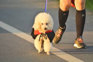 BIB: 
                            <button type="button" onclick="openModal(6418116)" class="btn btn-primary btn-sm float-right btn-popup" data-toggle="modal" data-target=".modal-high-quality">
                        <i class="fas fa-shopping-cart"></i> Add to Cart
                    </button>
                                            <button type="button" onclick="isThisMe(6418116, true)" class="btn btn-success btn-sm float-right btn-popup btn-isme hidden" data-toggle="tooltip" data-placement="bottom" title="นี่คือรูปของคุณใช่ไหม คลิกที่นี่เพื่อเอาเข้าอัลบั้ม">
                        <i class="fas fa-plus"></i> Add to album
                    </button>
                    <button type="button" onclick="isThisMe(6418116, false)" class="btn btn-warning btn-sm float-right btn-popup btn-isnotme hidden">
                        <i class="fas fa-ban"></i> Remove from album
                    </button>