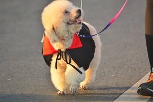 BIB: 
                            <button type="button" onclick="openModal(6417803)" class="btn btn-primary btn-sm float-right btn-popup" data-toggle="modal" data-target=".modal-high-quality">
                        <i class="fas fa-shopping-cart"></i> Add to Cart
                    </button>
                                            <button type="button" onclick="isThisMe(6417803, true)" class="btn btn-success btn-sm float-right btn-popup btn-isme hidden" data-toggle="tooltip" data-placement="bottom" title="นี่คือรูปของคุณใช่ไหม คลิกที่นี่เพื่อเอาเข้าอัลบั้ม">
                        <i class="fas fa-plus"></i> Add to album
                    </button>
                    <button type="button" onclick="isThisMe(6417803, false)" class="btn btn-warning btn-sm float-right btn-popup btn-isnotme hidden">
                        <i class="fas fa-ban"></i> Remove from album
                    </button>