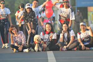 BIB: 3772, 7344, 2640, 798
                            <button type="button" onclick="openModal(6417912)" class="btn btn-primary btn-sm float-right btn-popup" data-toggle="modal" data-target=".modal-high-quality">
                        <i class="fas fa-shopping-cart"></i> Add to Cart
                    </button>
                                            <button type="button" onclick="isThisMe(6417912, true)" class="btn btn-success btn-sm float-right btn-popup btn-isme hidden" data-toggle="tooltip" data-placement="bottom" title="นี่คือรูปของคุณใช่ไหม คลิกที่นี่เพื่อเอาเข้าอัลบั้ม">
                        <i class="fas fa-plus"></i> Add to album
                    </button>
                    <button type="button" onclick="isThisMe(6417912, false)" class="btn btn-warning btn-sm float-right btn-popup btn-isnotme hidden">
                        <i class="fas fa-ban"></i> Remove from album
                    </button>