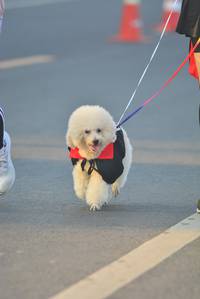 BIB: 
                            <button type="button" onclick="openModal(6417761)" class="btn btn-primary btn-sm float-right btn-popup" data-toggle="modal" data-target=".modal-high-quality">
                        <i class="fas fa-shopping-cart"></i> Add to Cart
                    </button>
                                            <button type="button" onclick="isThisMe(6417761, true)" class="btn btn-success btn-sm float-right btn-popup btn-isme hidden" data-toggle="tooltip" data-placement="bottom" title="นี่คือรูปของคุณใช่ไหม คลิกที่นี่เพื่อเอาเข้าอัลบั้ม">
                        <i class="fas fa-plus"></i> Add to album
                    </button>
                    <button type="button" onclick="isThisMe(6417761, false)" class="btn btn-warning btn-sm float-right btn-popup btn-isnotme hidden">
                        <i class="fas fa-ban"></i> Remove from album
                    </button>