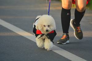 BIB: 
                            <button type="button" onclick="openModal(6404559)" class="btn btn-primary btn-sm float-right btn-popup" data-toggle="modal" data-target=".modal-high-quality">
                        <i class="fas fa-shopping-cart"></i> Add to Cart
                    </button>
                                            <button type="button" onclick="isThisMe(6404559, true)" class="btn btn-success btn-sm float-right btn-popup btn-isme hidden" data-toggle="tooltip" data-placement="bottom" title="นี่คือรูปของคุณใช่ไหม คลิกที่นี่เพื่อเอาเข้าอัลบั้ม">
                        <i class="fas fa-plus"></i> Add to album
                    </button>
                    <button type="button" onclick="isThisMe(6404559, false)" class="btn btn-warning btn-sm float-right btn-popup btn-isnotme hidden">
                        <i class="fas fa-ban"></i> Remove from album
                    </button>