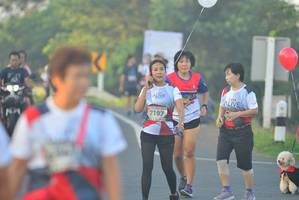 BIB: 7197
                            <button type="button" onclick="openModal(6404333)" class="btn btn-primary btn-sm float-right btn-popup" data-toggle="modal" data-target=".modal-high-quality">
                        <i class="fas fa-shopping-cart"></i> Add to Cart
                    </button>
                                            <button type="button" onclick="isThisMe(6404333, true)" class="btn btn-success btn-sm float-right btn-popup btn-isme hidden" data-toggle="tooltip" data-placement="bottom" title="นี่คือรูปของคุณใช่ไหม คลิกที่นี่เพื่อเอาเข้าอัลบั้ม">
                        <i class="fas fa-plus"></i> Add to album
                    </button>
                    <button type="button" onclick="isThisMe(6404333, false)" class="btn btn-warning btn-sm float-right btn-popup btn-isnotme hidden">
                        <i class="fas fa-ban"></i> Remove from album
                    </button>