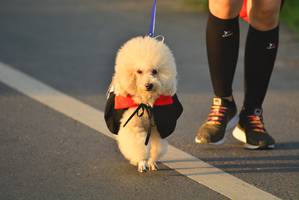 BIB: 
                            <button type="button" onclick="openModal(6418133)" class="btn btn-primary btn-sm float-right btn-popup" data-toggle="modal" data-target=".modal-high-quality">
                        <i class="fas fa-shopping-cart"></i> Add to Cart
                    </button>
                                            <button type="button" onclick="isThisMe(6418133, true)" class="btn btn-success btn-sm float-right btn-popup btn-isme hidden" data-toggle="tooltip" data-placement="bottom" title="นี่คือรูปของคุณใช่ไหม คลิกที่นี่เพื่อเอาเข้าอัลบั้ม">
                        <i class="fas fa-plus"></i> Add to album
                    </button>
                    <button type="button" onclick="isThisMe(6418133, false)" class="btn btn-warning btn-sm float-right btn-popup btn-isnotme hidden">
                        <i class="fas fa-ban"></i> Remove from album
                    </button>