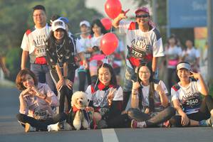 BIB: 3772, 711, 2640, 7988
                            <button type="button" onclick="openModal(6417947)" class="btn btn-primary btn-sm float-right btn-popup" data-toggle="modal" data-target=".modal-high-quality">
                        <i class="fas fa-shopping-cart"></i> Add to Cart
                    </button>
                                            <button type="button" onclick="isThisMe(6417947, true)" class="btn btn-success btn-sm float-right btn-popup btn-isme hidden" data-toggle="tooltip" data-placement="bottom" title="นี่คือรูปของคุณใช่ไหม คลิกที่นี่เพื่อเอาเข้าอัลบั้ม">
                        <i class="fas fa-plus"></i> Add to album
                    </button>
                    <button type="button" onclick="isThisMe(6417947, false)" class="btn btn-warning btn-sm float-right btn-popup btn-isnotme hidden">
                        <i class="fas fa-ban"></i> Remove from album
                    </button>