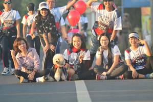 BIB: 3772, 7344, 2640, 798
                            <button type="button" onclick="openModal(6402631)" class="btn btn-primary btn-sm float-right btn-popup" data-toggle="modal" data-target=".modal-high-quality">
                        <i class="fas fa-shopping-cart"></i> Add to Cart
                    </button>
                                            <button type="button" onclick="isThisMe(6402631, true)" class="btn btn-success btn-sm float-right btn-popup btn-isme hidden" data-toggle="tooltip" data-placement="bottom" title="นี่คือรูปของคุณใช่ไหม คลิกที่นี่เพื่อเอาเข้าอัลบั้ม">
                        <i class="fas fa-plus"></i> Add to album
                    </button>
                    <button type="button" onclick="isThisMe(6402631, false)" class="btn btn-warning btn-sm float-right btn-popup btn-isnotme hidden">
                        <i class="fas fa-ban"></i> Remove from album
                    </button>