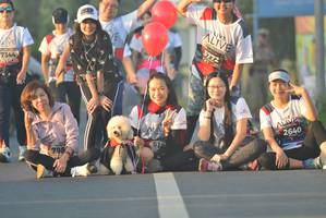 BIB: 3772, 7344, 2640, 798
                            <button type="button" onclick="openModal(6417910)" class="btn btn-primary btn-sm float-right btn-popup" data-toggle="modal" data-target=".modal-high-quality">
                        <i class="fas fa-shopping-cart"></i> Add to Cart
                    </button>
                                            <button type="button" onclick="isThisMe(6417910, true)" class="btn btn-success btn-sm float-right btn-popup btn-isme hidden" data-toggle="tooltip" data-placement="bottom" title="นี่คือรูปของคุณใช่ไหม คลิกที่นี่เพื่อเอาเข้าอัลบั้ม">
                        <i class="fas fa-plus"></i> Add to album
                    </button>
                    <button type="button" onclick="isThisMe(6417910, false)" class="btn btn-warning btn-sm float-right btn-popup btn-isnotme hidden">
                        <i class="fas fa-ban"></i> Remove from album
                    </button>