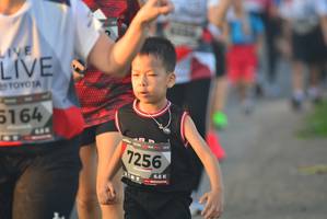 BIB: 164, 7256
                            <button type="button" onclick="openModal(6412875)" class="btn btn-primary btn-sm float-right btn-popup" data-toggle="modal" data-target=".modal-high-quality">
                        <i class="fas fa-shopping-cart"></i> Add to Cart
                    </button>
                                            <button type="button" onclick="isThisMe(6412875, true)" class="btn btn-success btn-sm float-right btn-popup btn-isme hidden" data-toggle="tooltip" data-placement="bottom" title="นี่คือรูปของคุณใช่ไหม คลิกที่นี่เพื่อเอาเข้าอัลบั้ม">
                        <i class="fas fa-plus"></i> Add to album
                    </button>
                    <button type="button" onclick="isThisMe(6412875, false)" class="btn btn-warning btn-sm float-right btn-popup btn-isnotme hidden">
                        <i class="fas fa-ban"></i> Remove from album
                    </button>