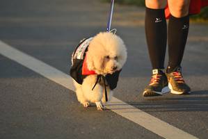 BIB: 
                            <button type="button" onclick="openModal(6403109)" class="btn btn-primary btn-sm float-right btn-popup" data-toggle="modal" data-target=".modal-high-quality">
                        <i class="fas fa-shopping-cart"></i> Add to Cart
                    </button>
                                            <button type="button" onclick="isThisMe(6403109, true)" class="btn btn-success btn-sm float-right btn-popup btn-isme hidden" data-toggle="tooltip" data-placement="bottom" title="นี่คือรูปของคุณใช่ไหม คลิกที่นี่เพื่อเอาเข้าอัลบั้ม">
                        <i class="fas fa-plus"></i> Add to album
                    </button>
                    <button type="button" onclick="isThisMe(6403109, false)" class="btn btn-warning btn-sm float-right btn-popup btn-isnotme hidden">
                        <i class="fas fa-ban"></i> Remove from album
                    </button>